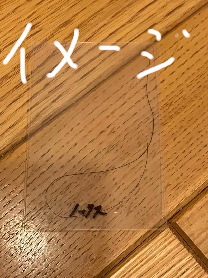 イクイノックス　2022 天皇賞・秋 ミニゼッケン　ルメール直筆サイン馬券鬣一本