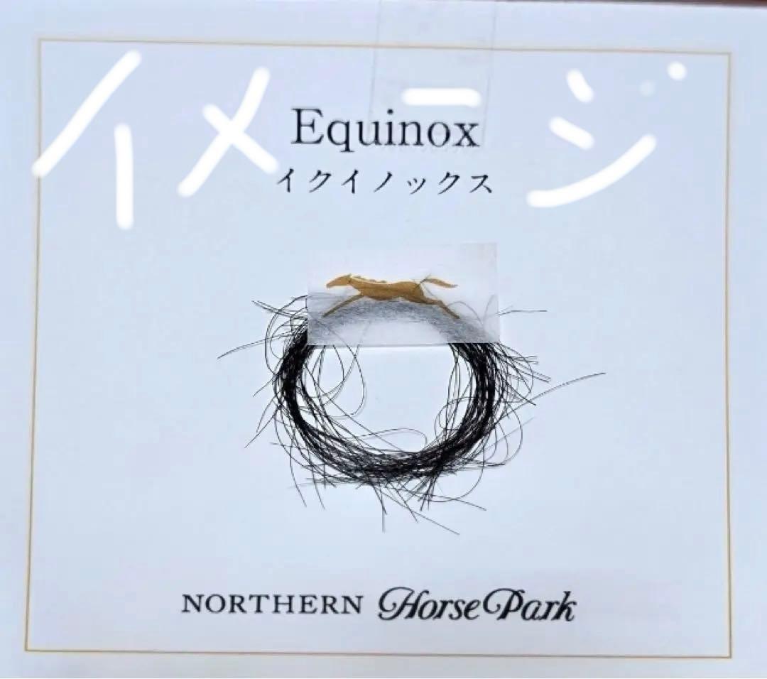 イクイノックス　2022 天皇賞・秋 ミニゼッケン　ルメール直筆サイン馬券鬣一本