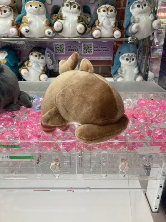 即購入可！ mofusand サメにゃん ぬいぐるみ2 ８種セット