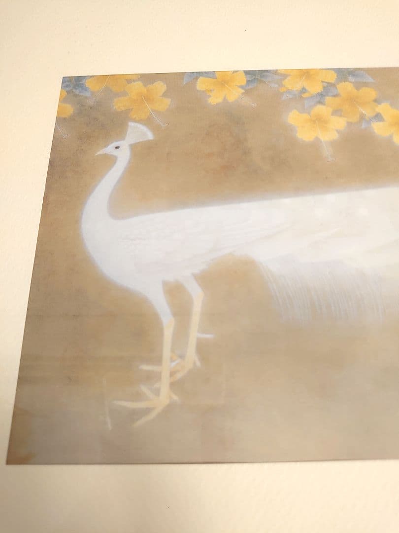 ✨白孔雀 花鳥 上村松篁　全8枚✨