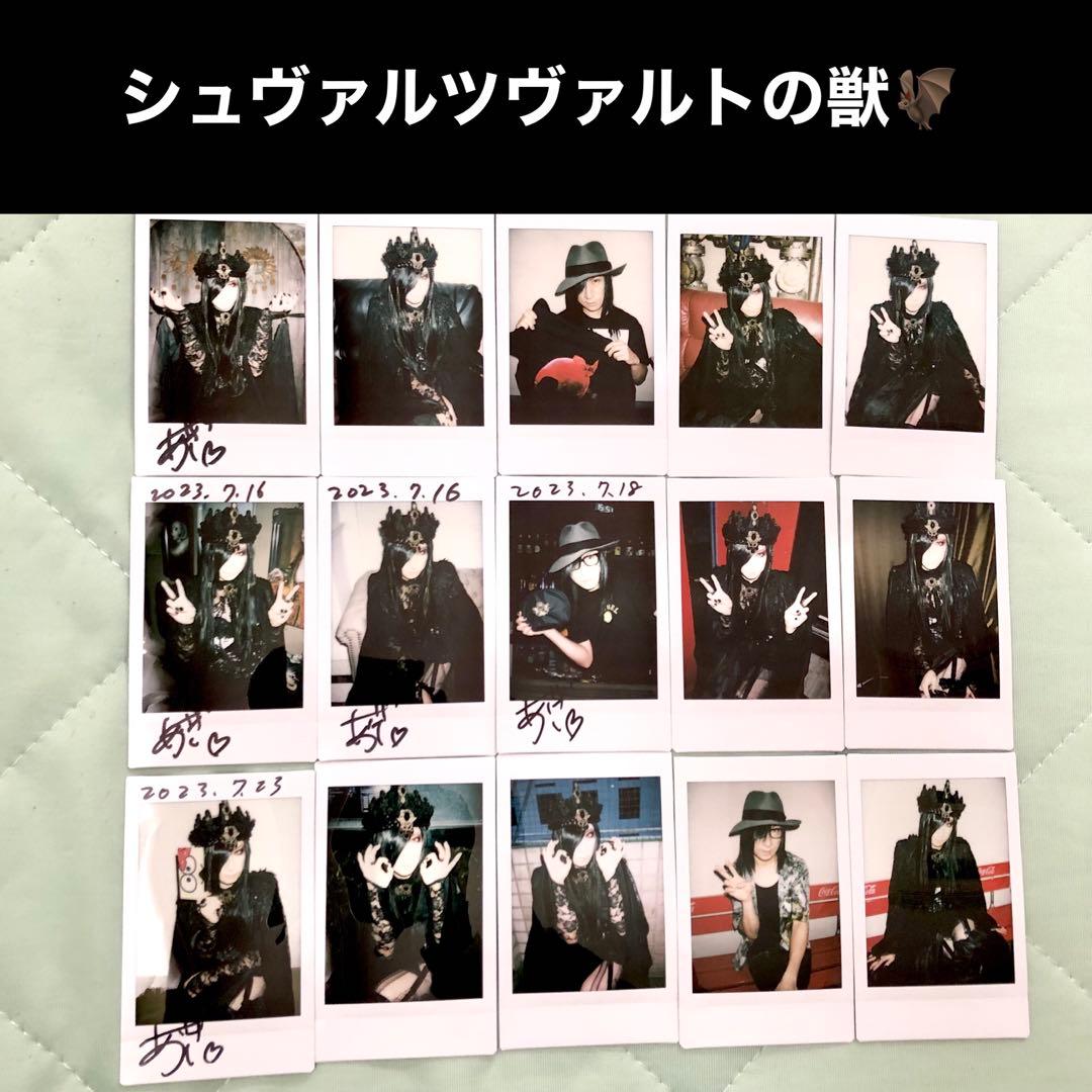 D　ASAGI 浅葱　チェキ　シュヴァルツヴァルトの獣　シングル CD グッズ