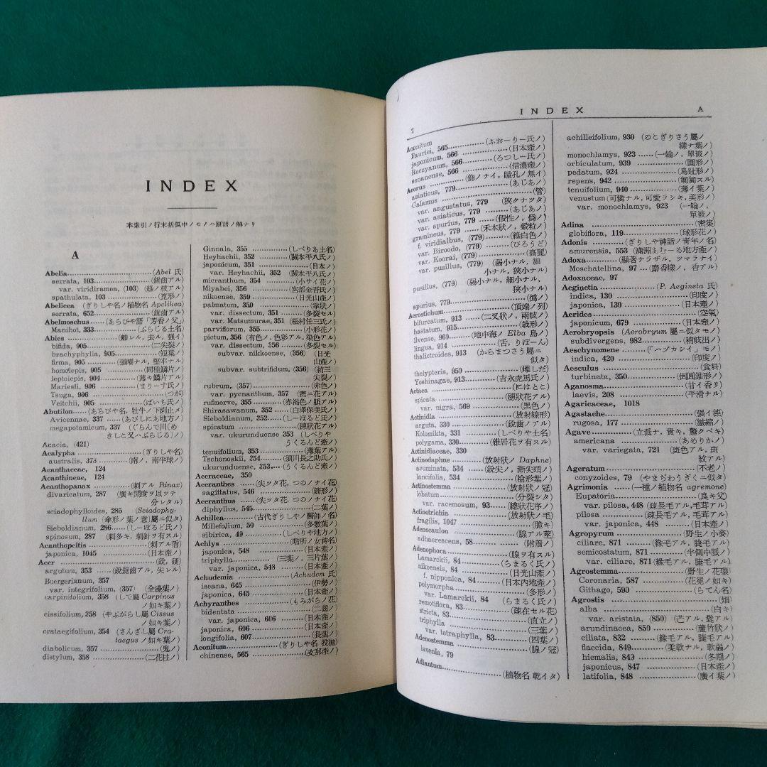 【古書・希少・レア】牧野日本植物図鑑（改訂版）牧野富太郎　北隆館