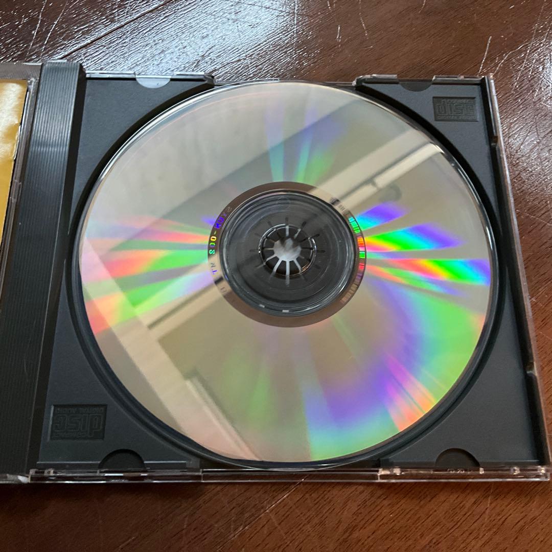 P-MODEL PAUSE P-MODEL LIVE 19931011 平沢進