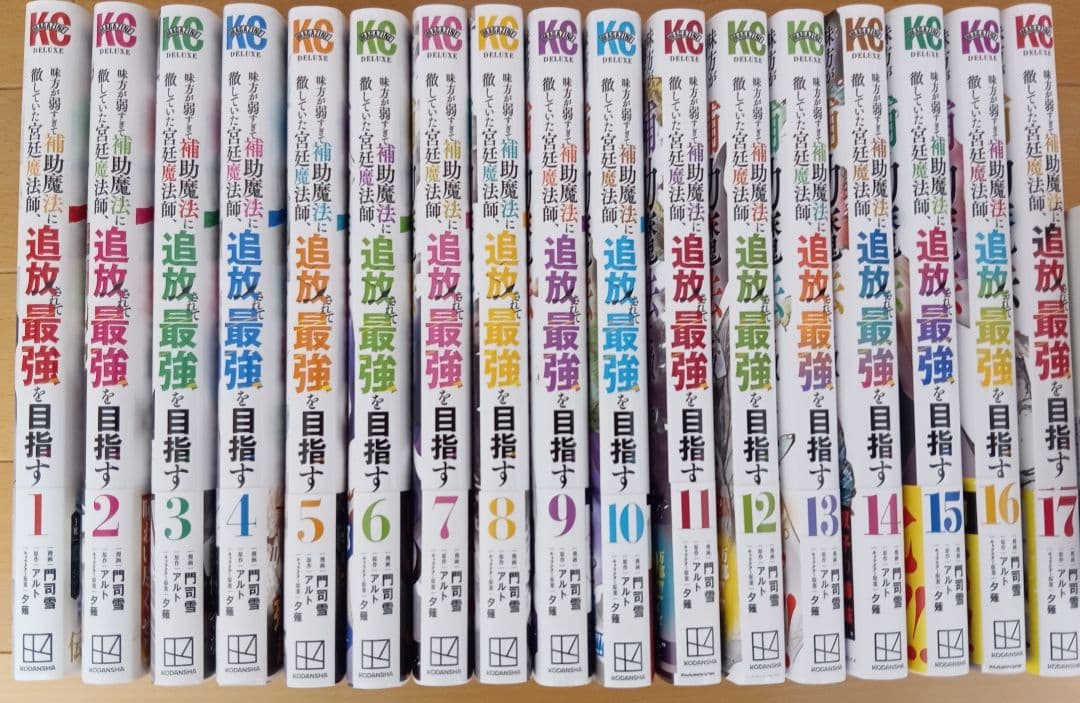 味方が弱すぎて補助魔法に徹していた宮廷魔法師、追放されて最強を目指す　1〜17巻