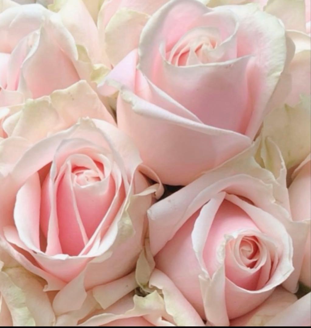 あじゅち【新品未使用袋箱付送料込み＊SK-IIメゾンキツネコラボ限定セット