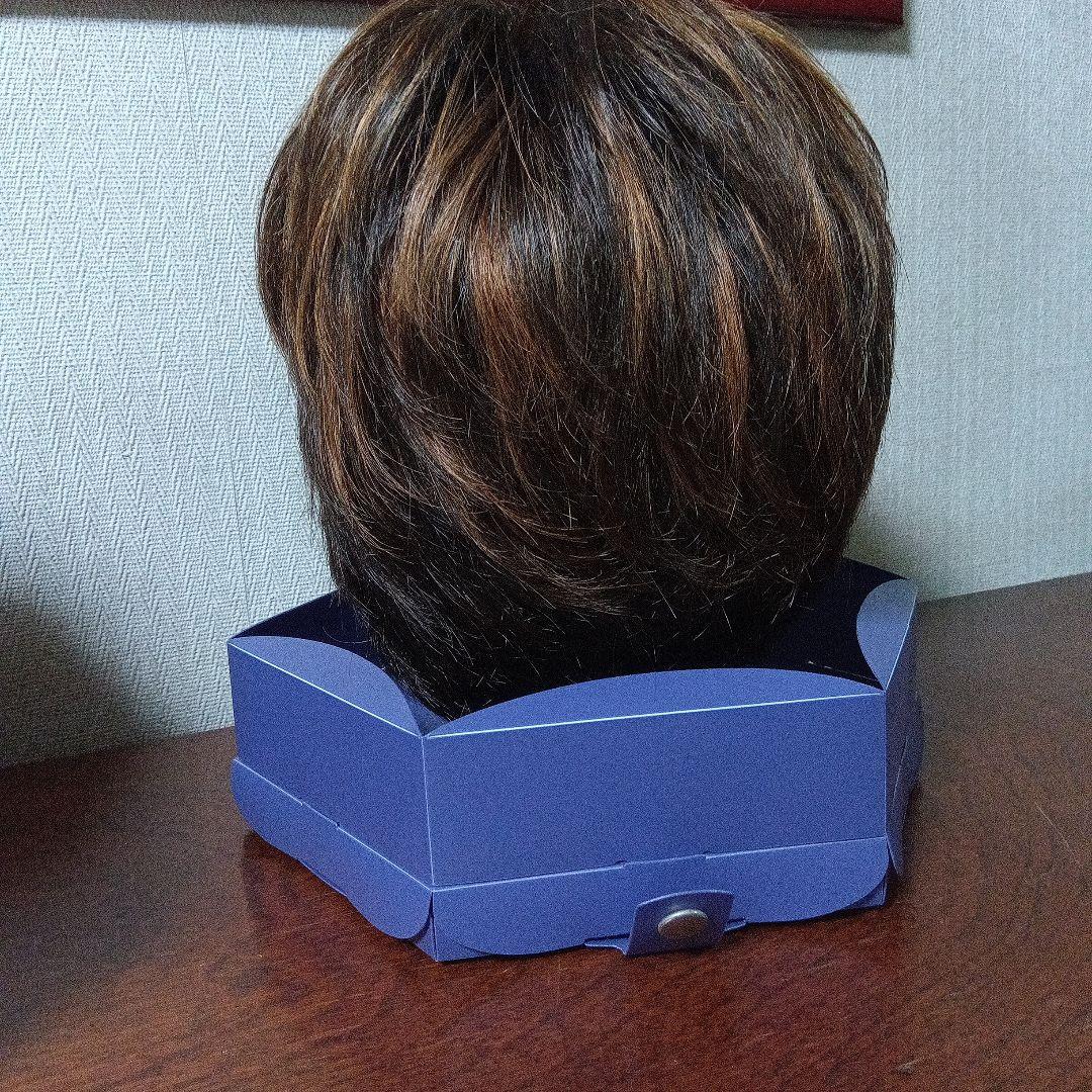 フォンティーヌ　ブラウン ショートウィッグ 人毛ミックス