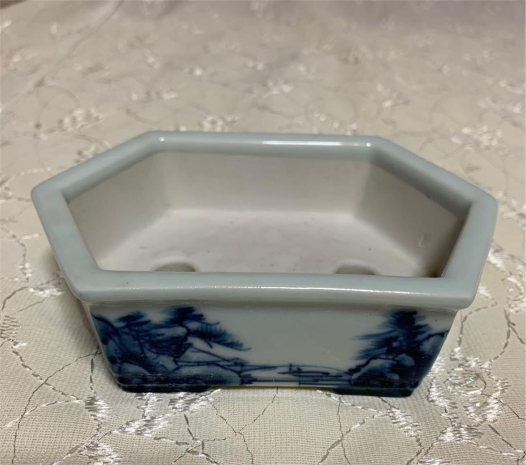 人気鉢！磯山　六角　盆栽鉢