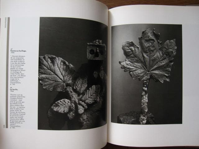 Picasso vu par Brassai　ピカソ　ブラッサイ　ブラッシャイ