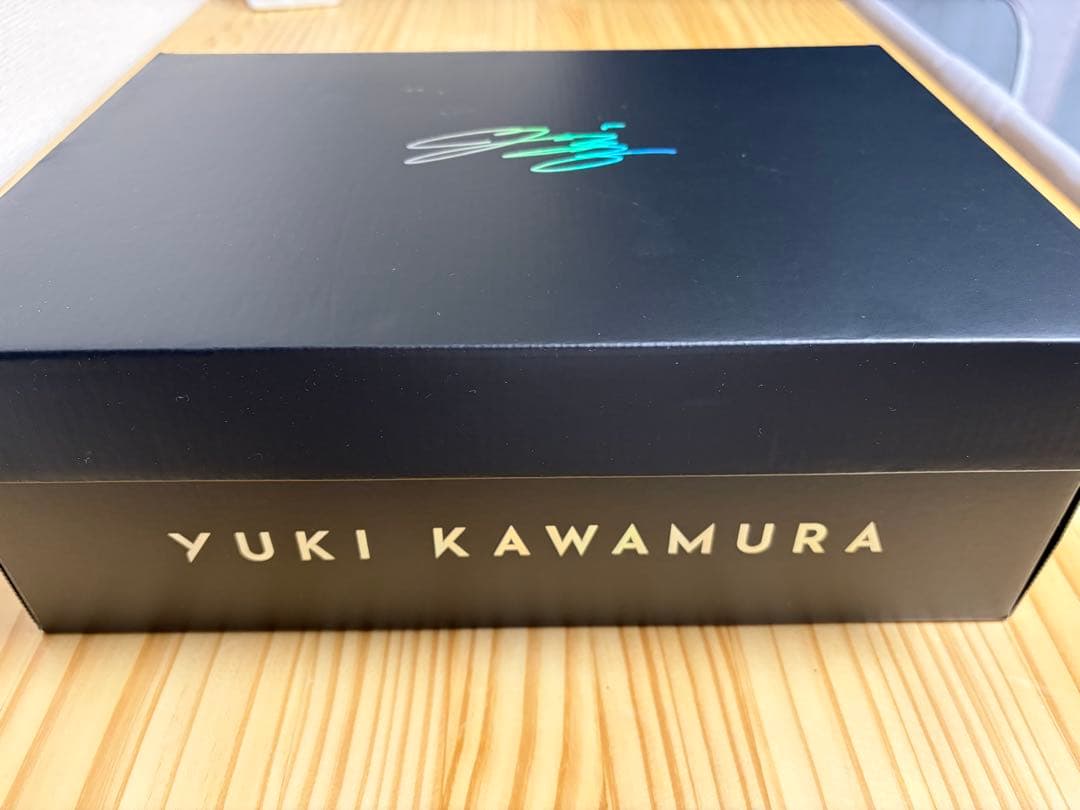 シューズ(男性用) SWIFTACE YUKI 27.5cm