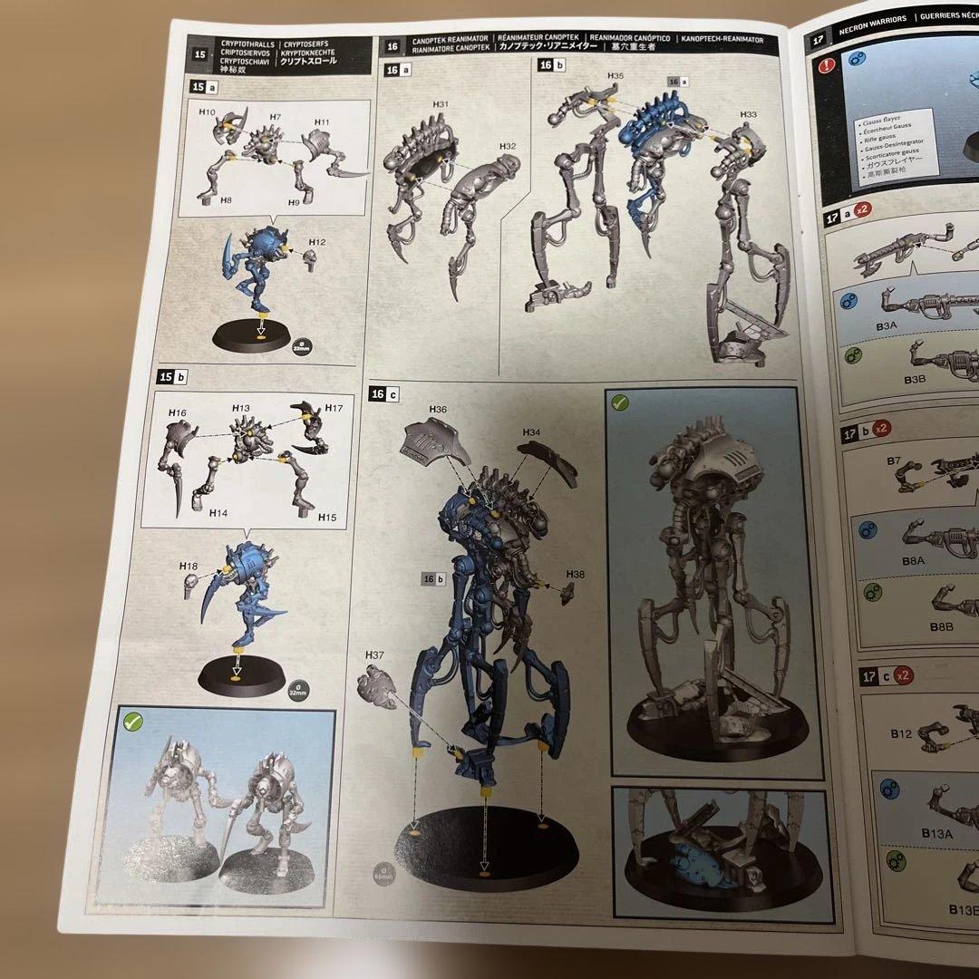 ネクロン　ロイヤルコート オーバーロード　セット