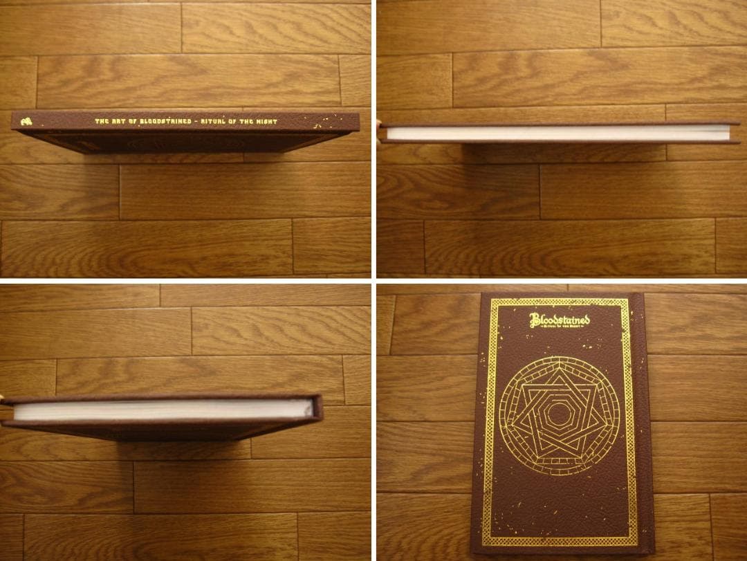 アート・デザイン・音楽 Art of Bloodstained Ritual of the Night