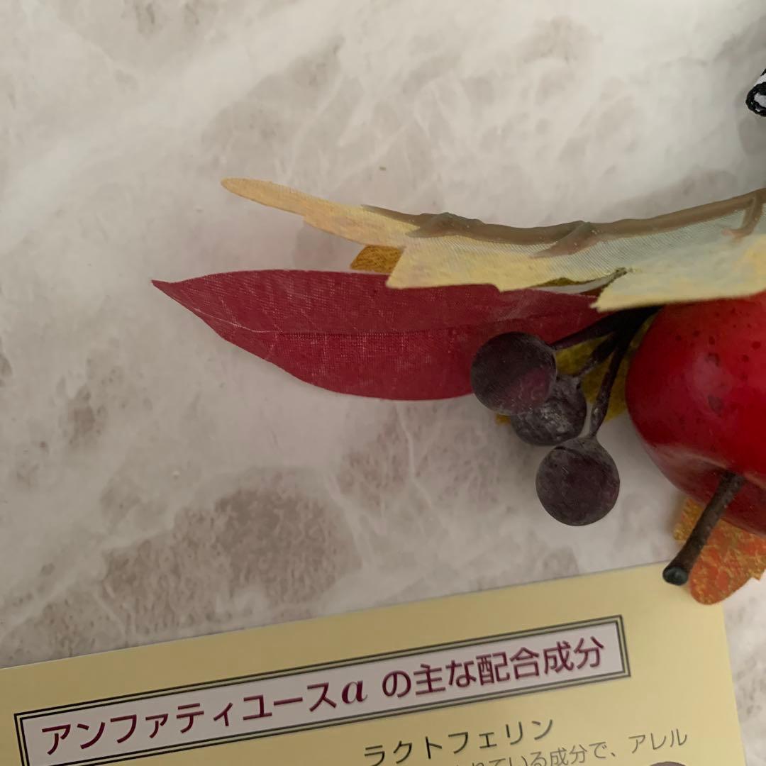 アンファティ　ユースNA大　 旧箱2本