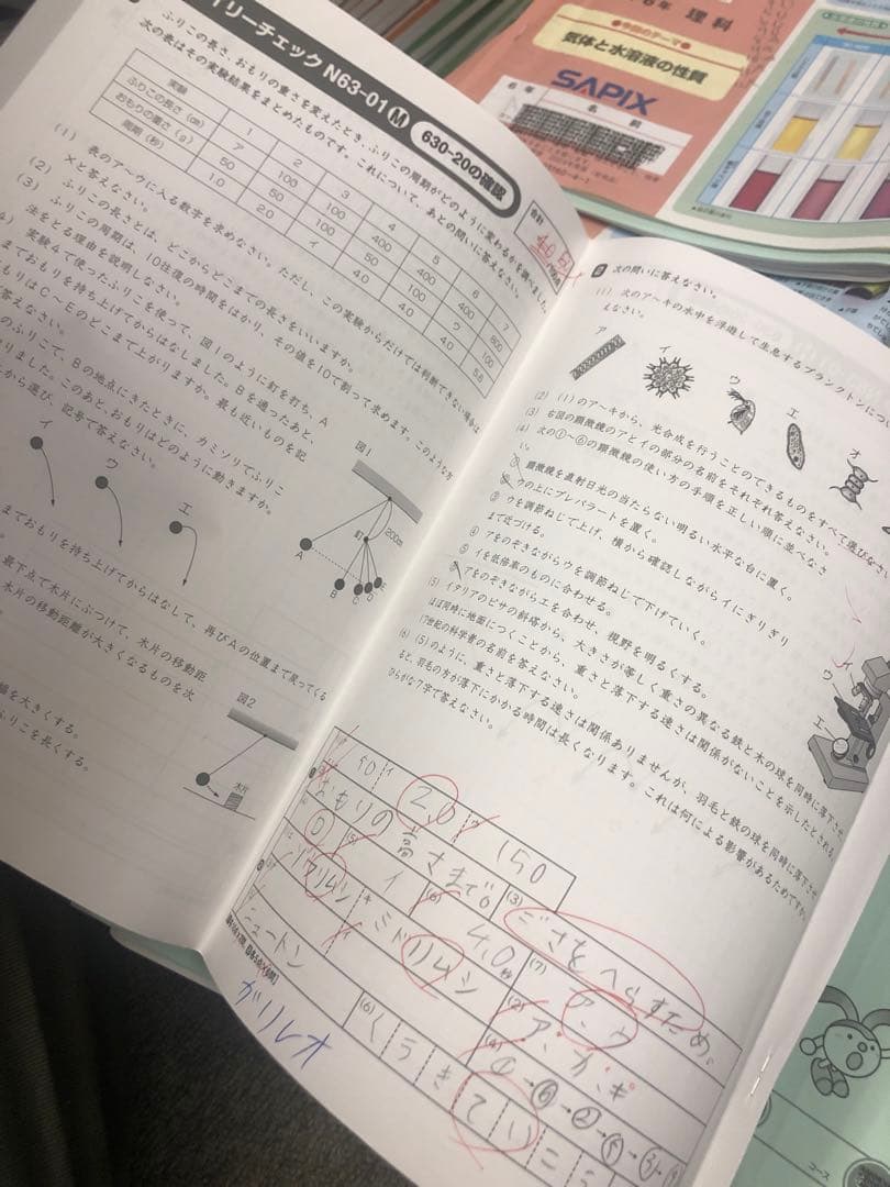 サピックス６年理科　デイリー/夏期集中/春夏/土特 /日特　中古　２０２５年受験