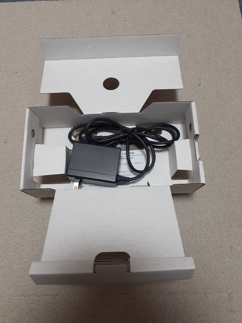 Nintendo Switch Lite グレー 2023年