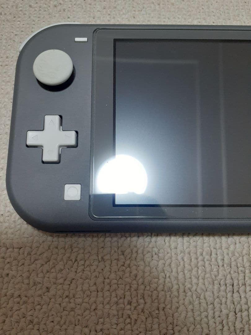 Nintendo Switch Lite グレー 2023年
