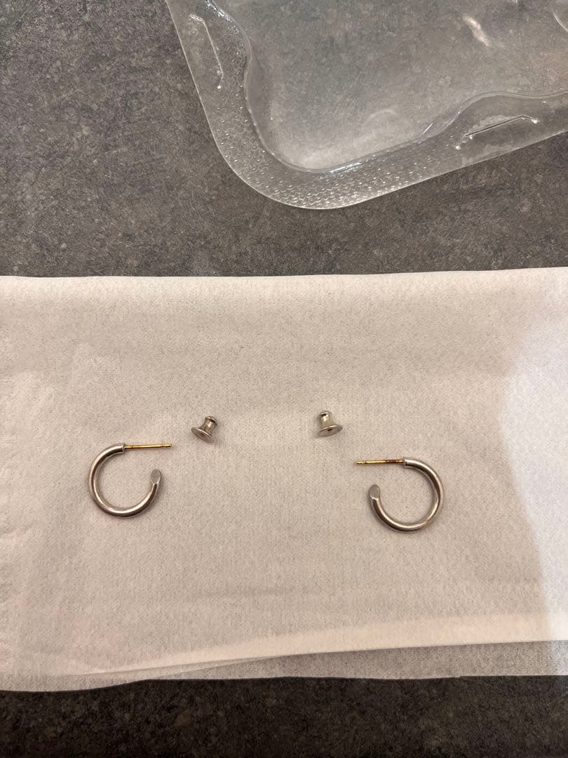 CAREERING 301 PLACEBO シルバー 両耳