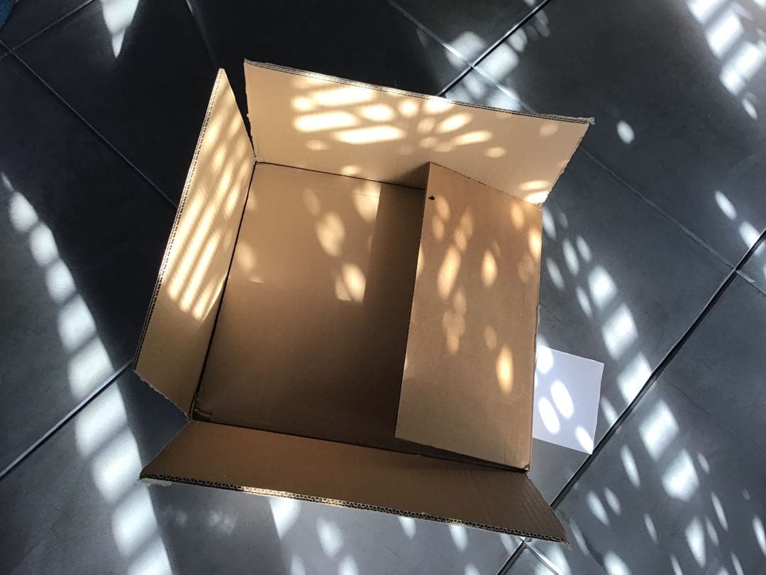 アート・デザイン・音楽 William Eggleston: Los Alamos