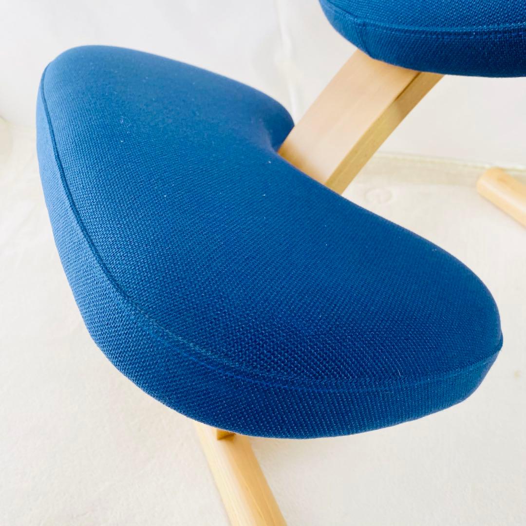 【未使用】リボ バランスラボ バランスイージーサカモトハウス ネイビー