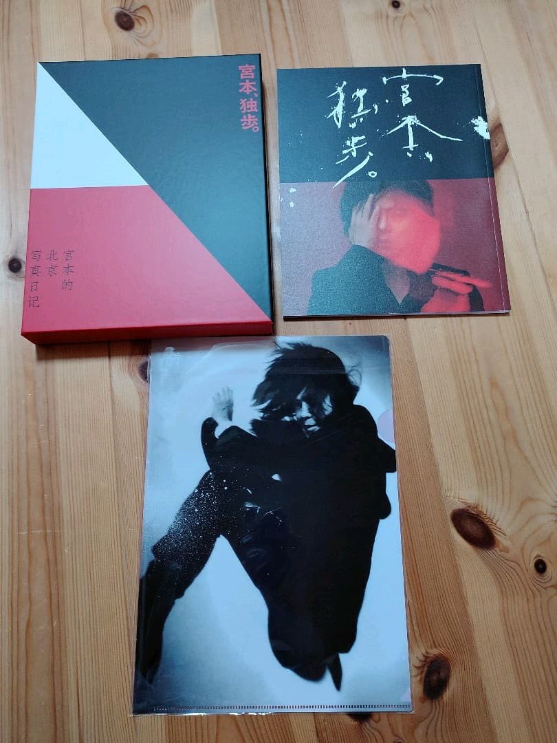 宮本浩次　宮本、独歩　受注生産　パンフレット　クリアファイル付