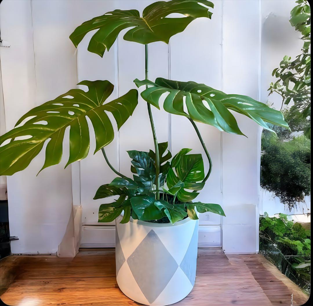 光触媒　人工観葉植物　ウォールグリーン　フェイクグリーン　バリ風特大モンステラ8