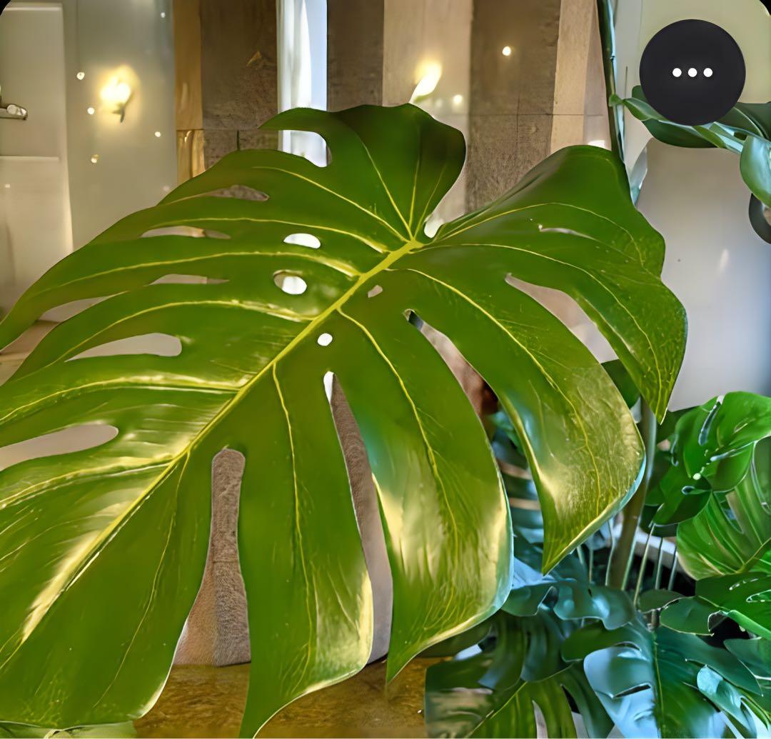 光触媒　人工観葉植物　ウォールグリーン　フェイクグリーン　バリ風特大モンステラ8