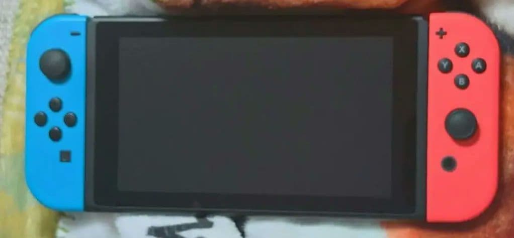 ※ぺさん専用※任天堂Switch