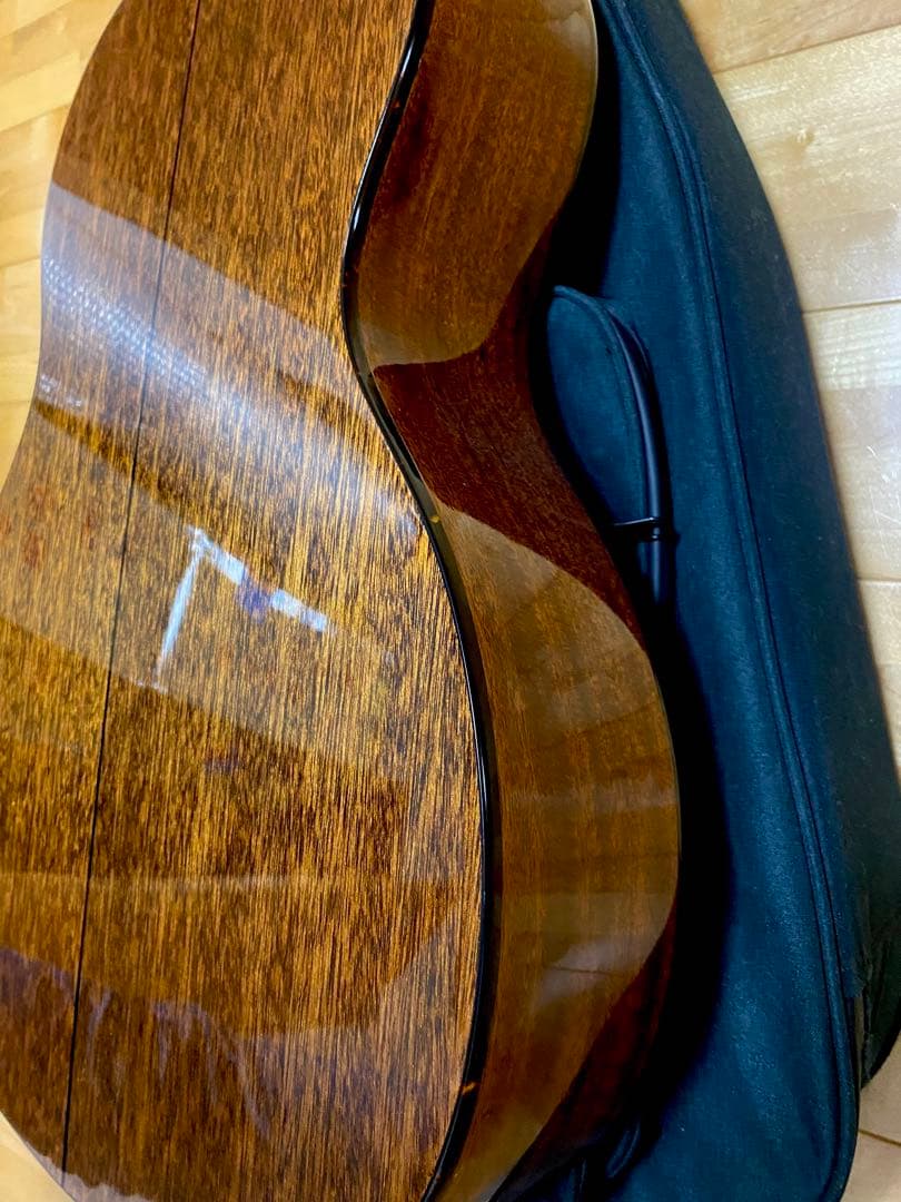 壱*徹様 値下げ❢珍‼️ ラップスチールギター　改造品　フレットレス動画あり