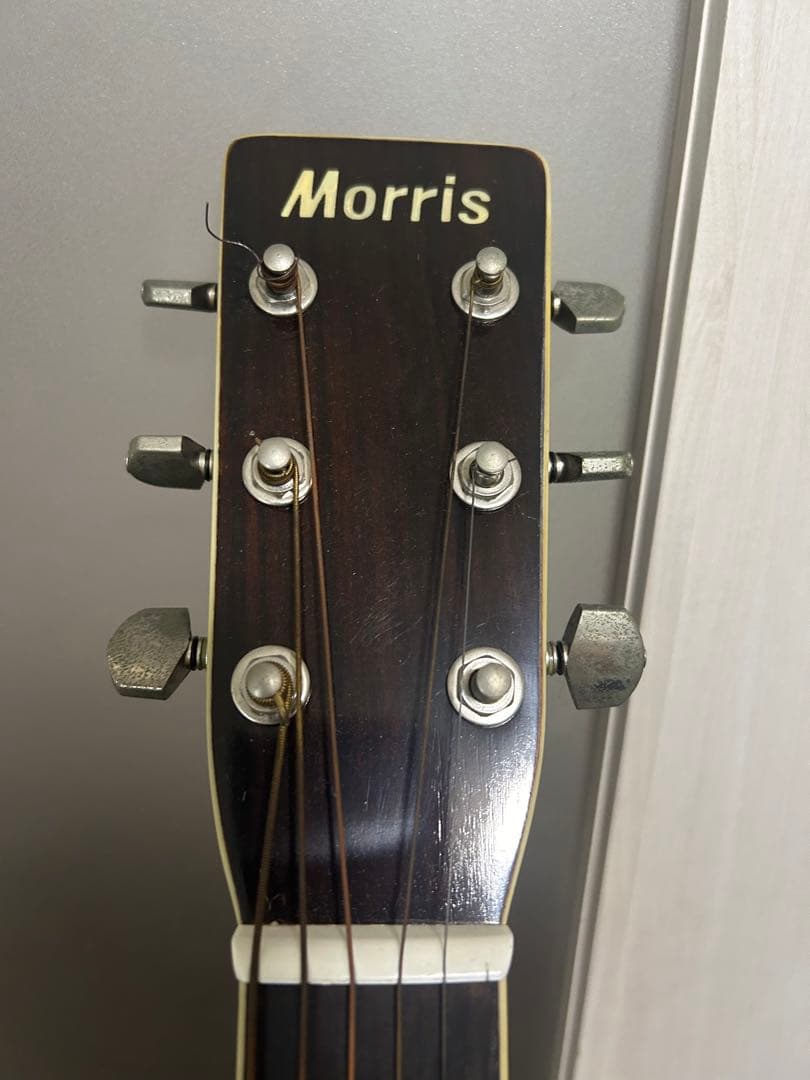 Morris アコースティックギター W-30