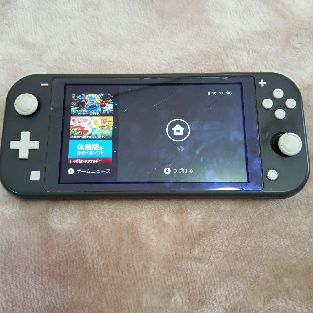 Nintendo Switch Lite グレー （一部不具合）
