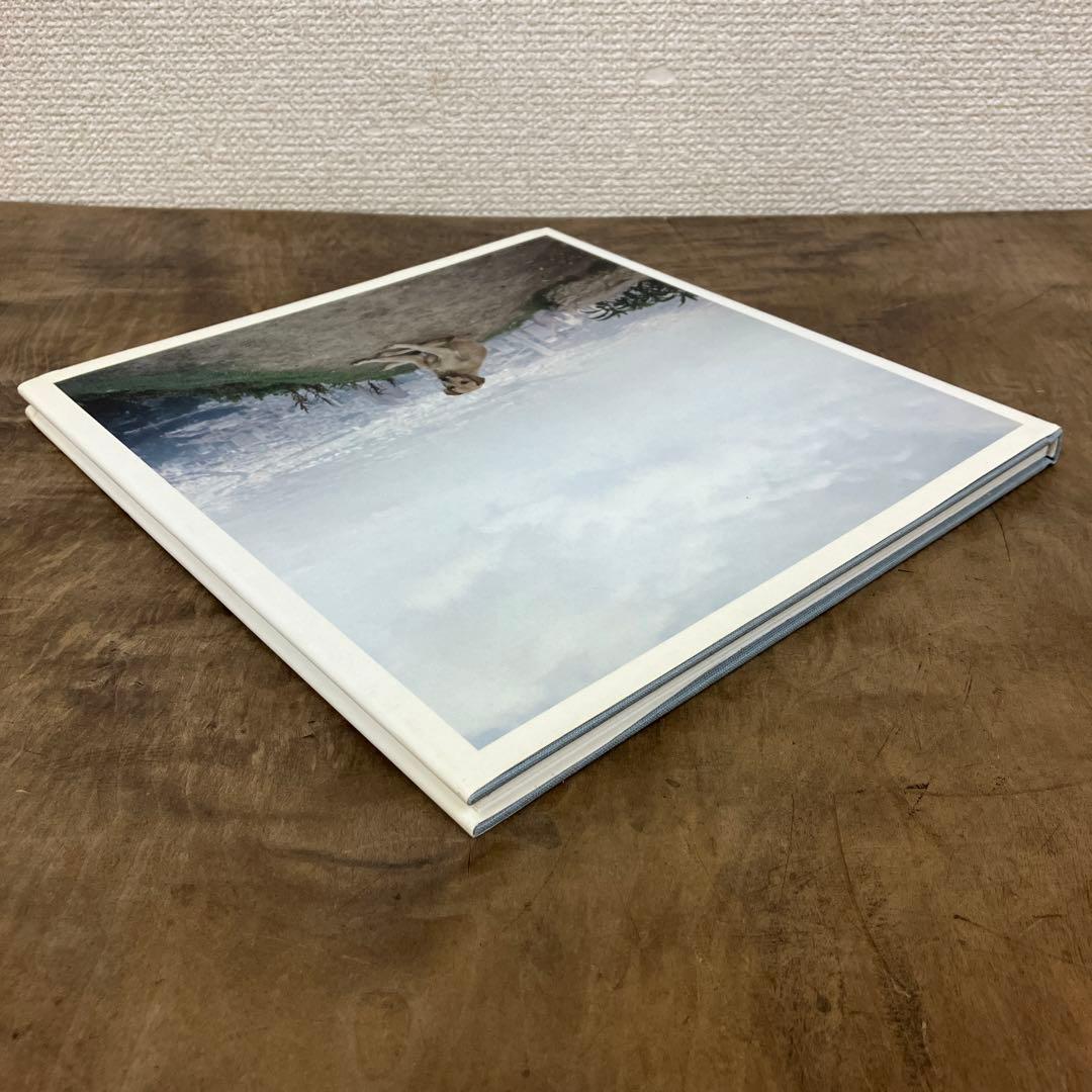 Alec Soth　写真集 Dog Days Bogota