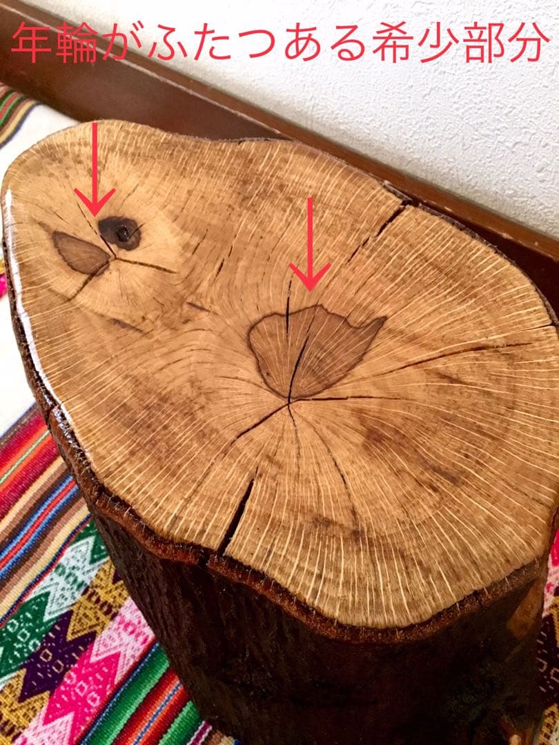 完売　天然樫の木で作成【森を感じられる切り株台】ミニテーブル/切り株椅子