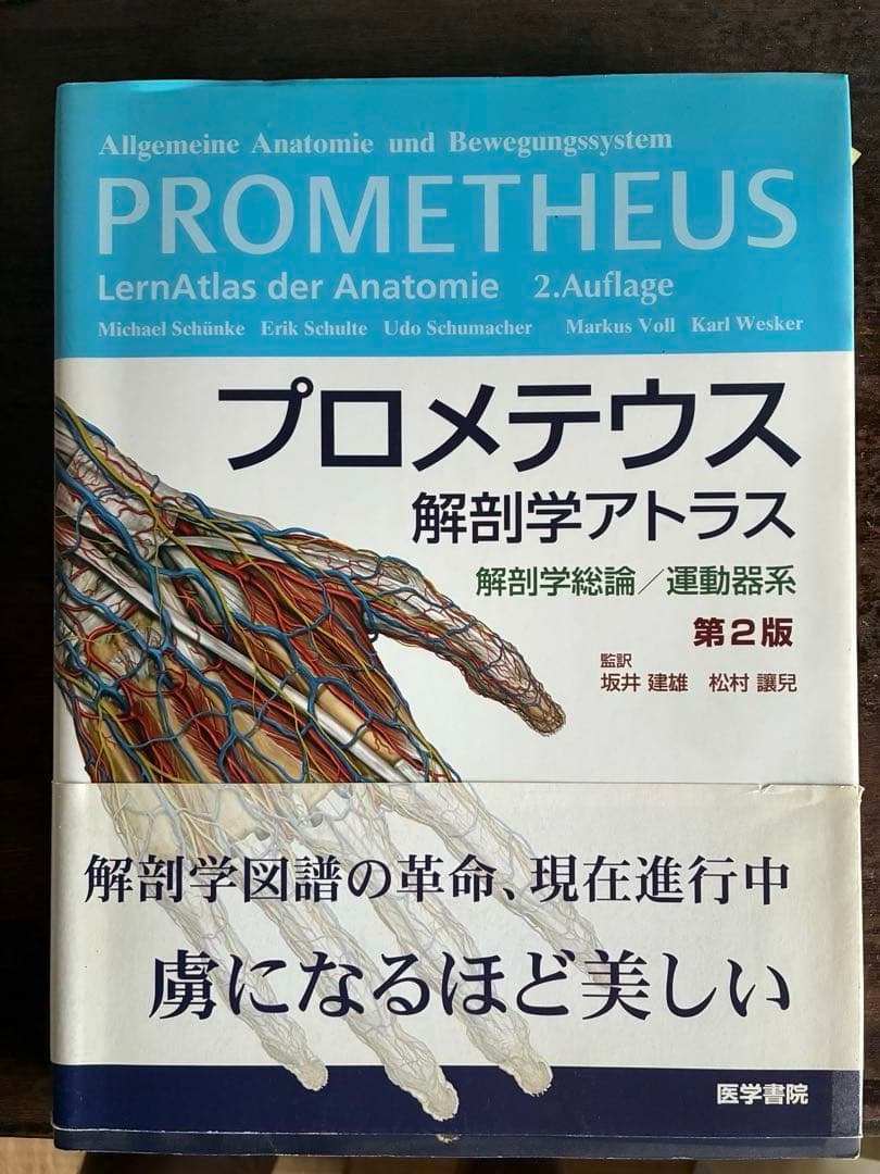 解剖学アトラス　人体の構造　大型本５冊セット