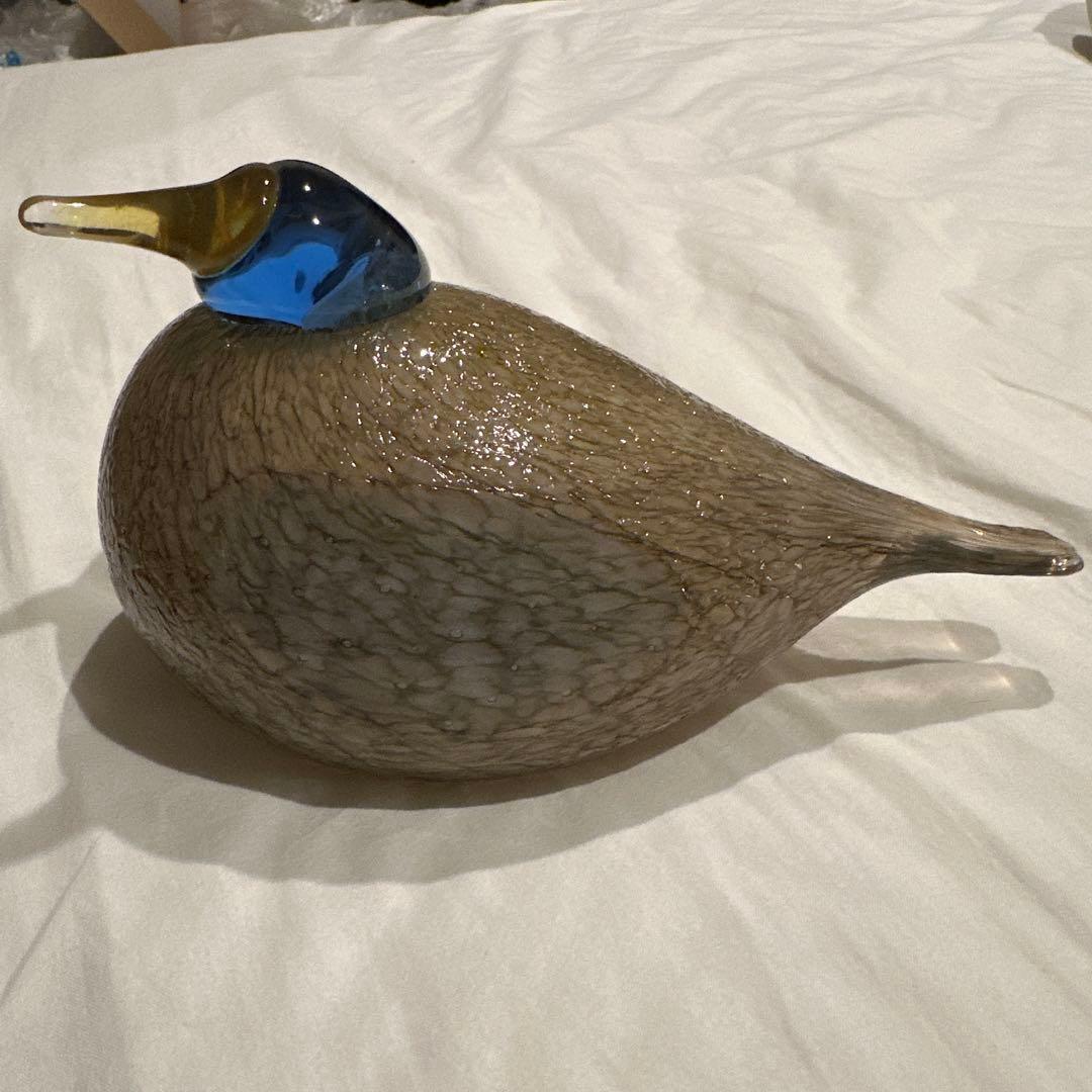 イッタラ オイバトイッカ / Dotterel バード