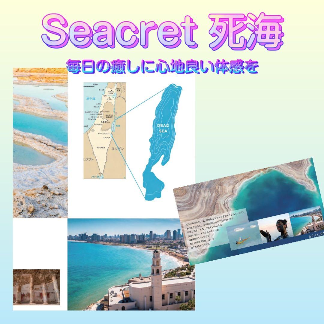 J*e様 MUDシャンプー&コンディショナーセット/ 死海のミネラル/シークレッ