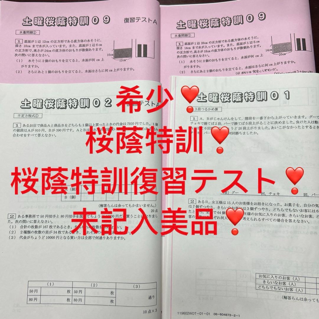 ⑲あ　サピックス　SAPIX 6年 土特桜蔭特訓 復習テスト　算数　未記入