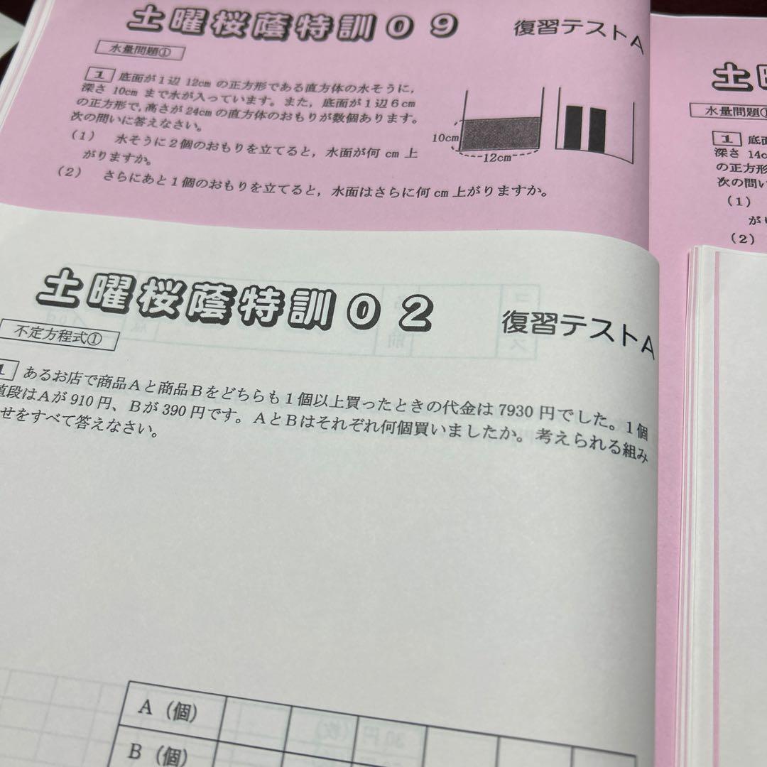 ⑲あ　サピックス　SAPIX 6年 土特桜蔭特訓 復習テスト　算数　未記入