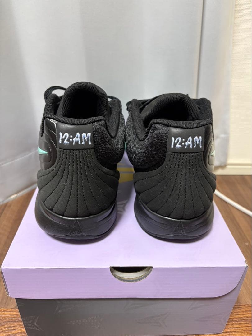 NIKE JA2 EP 30センチ