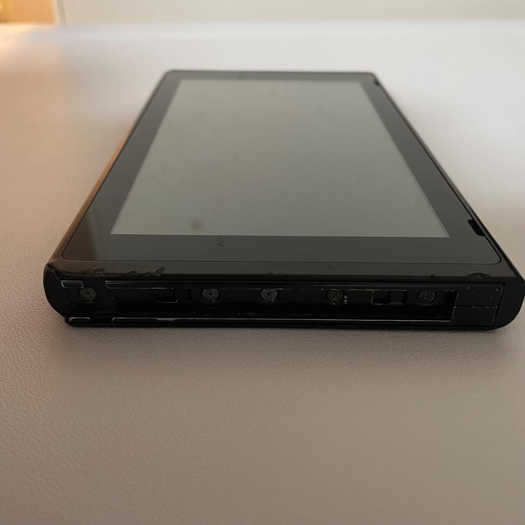 Nintendo Switch 本体とドッグ