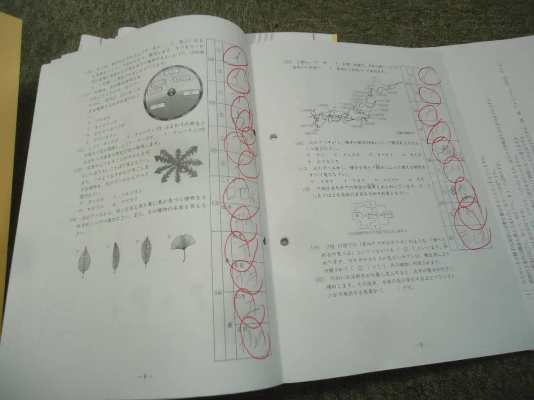 サピックス　理科 知識論理力講座14回/確認テスト13回　2020年度版