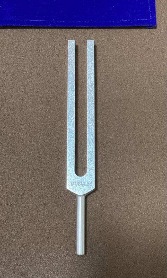 音叉　ヒーリング　セルリダクション　増川いづみ