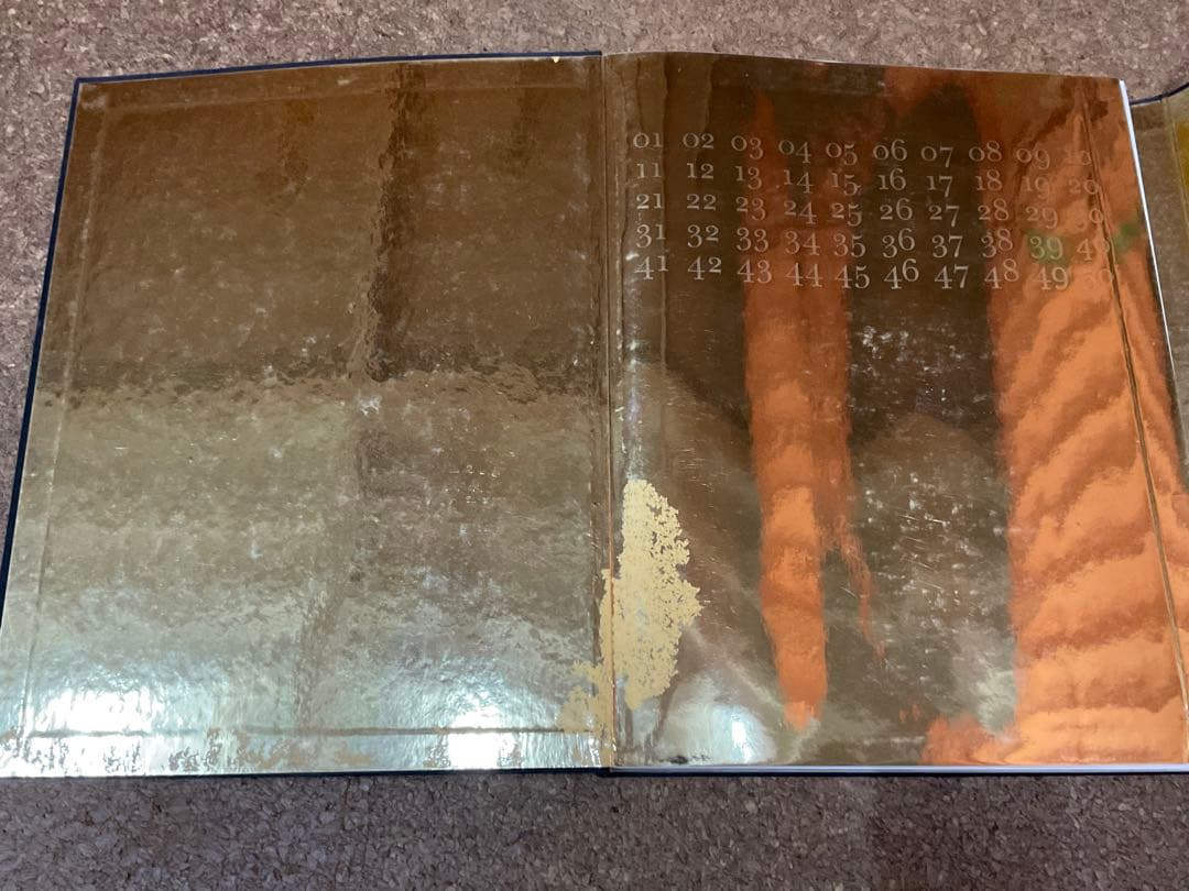 Dries Van Noten ドリス・ヴァン・ノッテン 作品集 アート