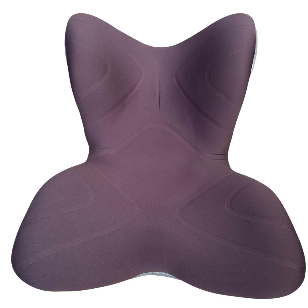 美品　MTG　Style PREMIUM　骨盤サポートチェア　ブラウン