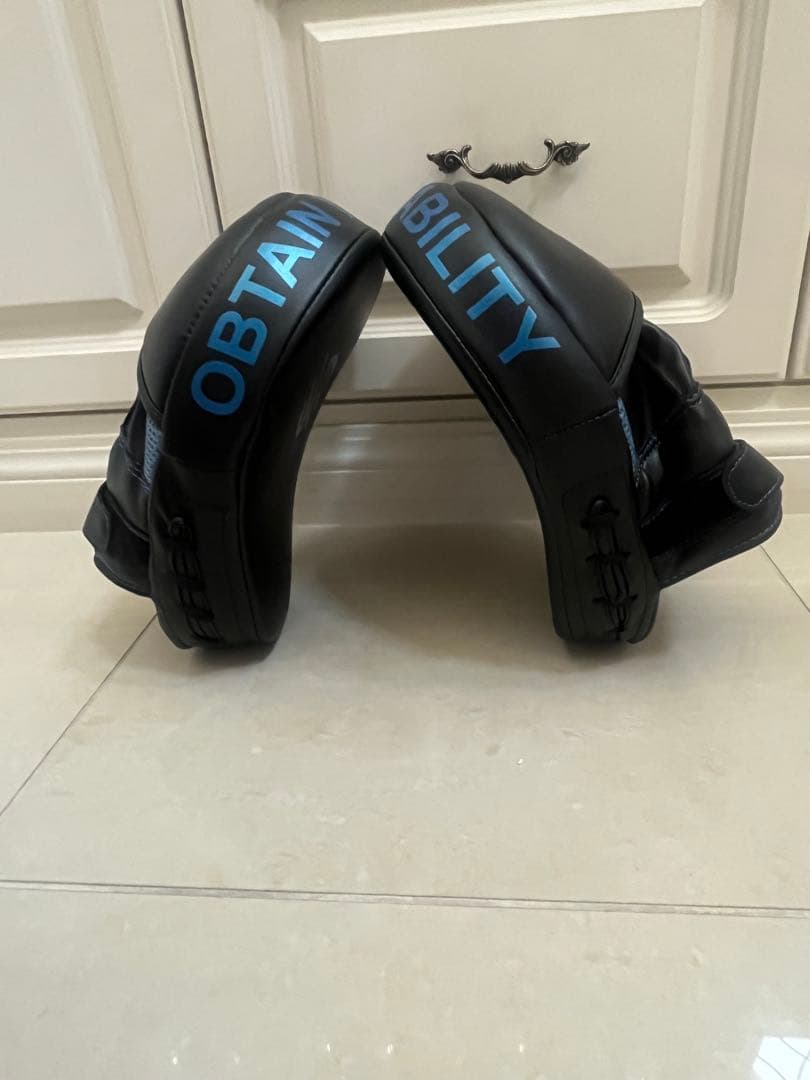 格闘技 ミット 美品 USA