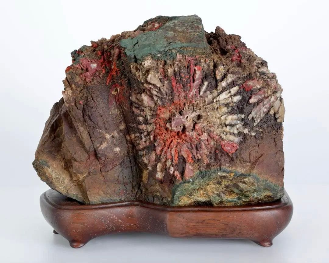 天覧 天然菊花石 大輪 6.5kg 台座付 鑑賞石 盆石 水石 自然石 美石