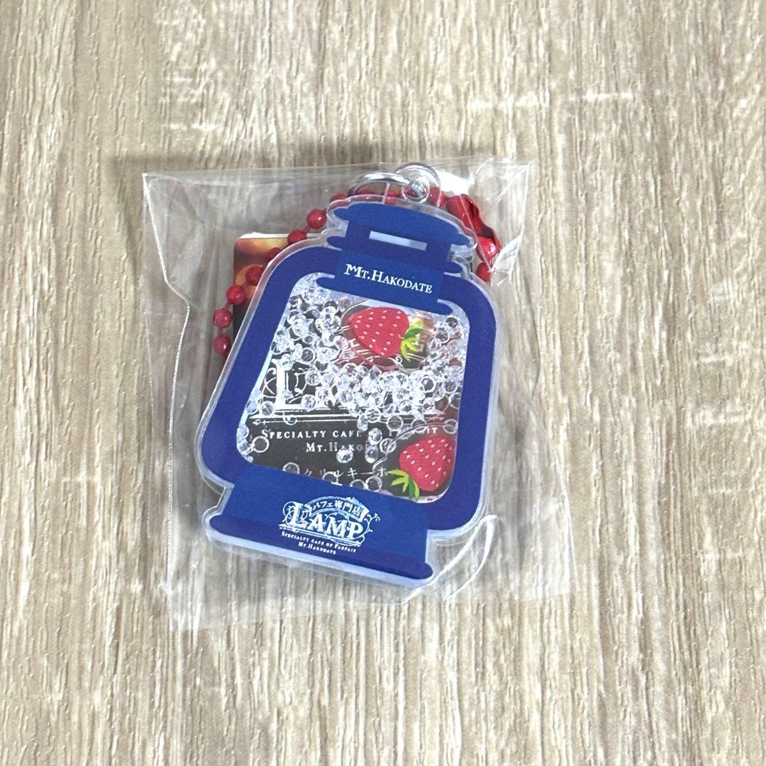 LAMPキーホルダー　箱館山　10種類コンプ　琵琶湖キーホルダー　ZOOM