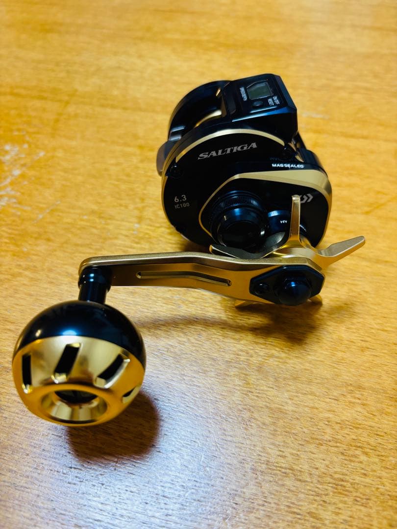 極美品　SALTIGA IC 100
