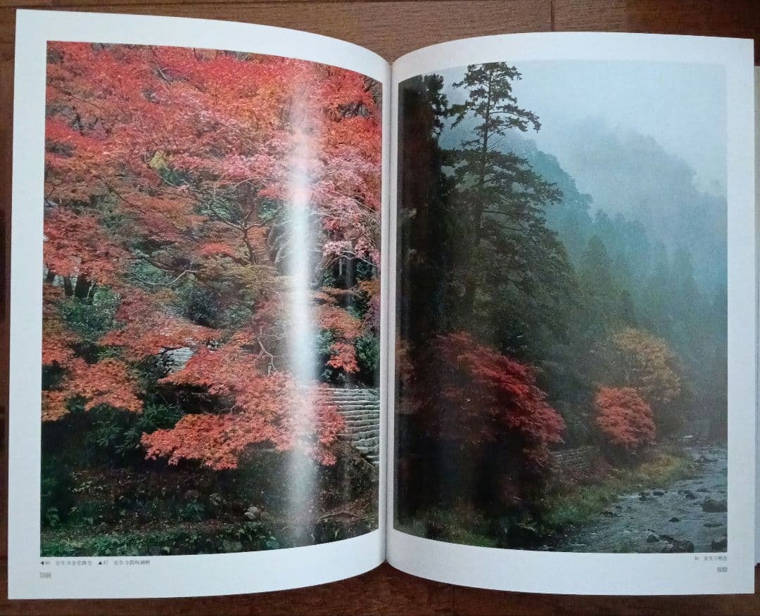 入江泰吉写真全集 全8巻セット 集英社