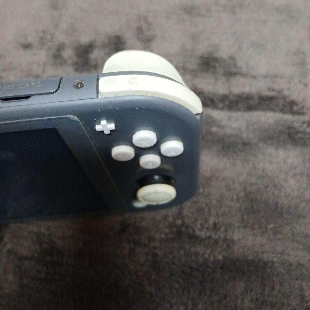 完全ジャンク品部品取り用　Nintendo Switch Lite　箱なし