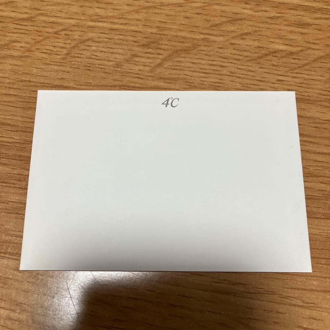 【タイムセール】12900→11900 4℃ 2018 クリスマス ネックレス