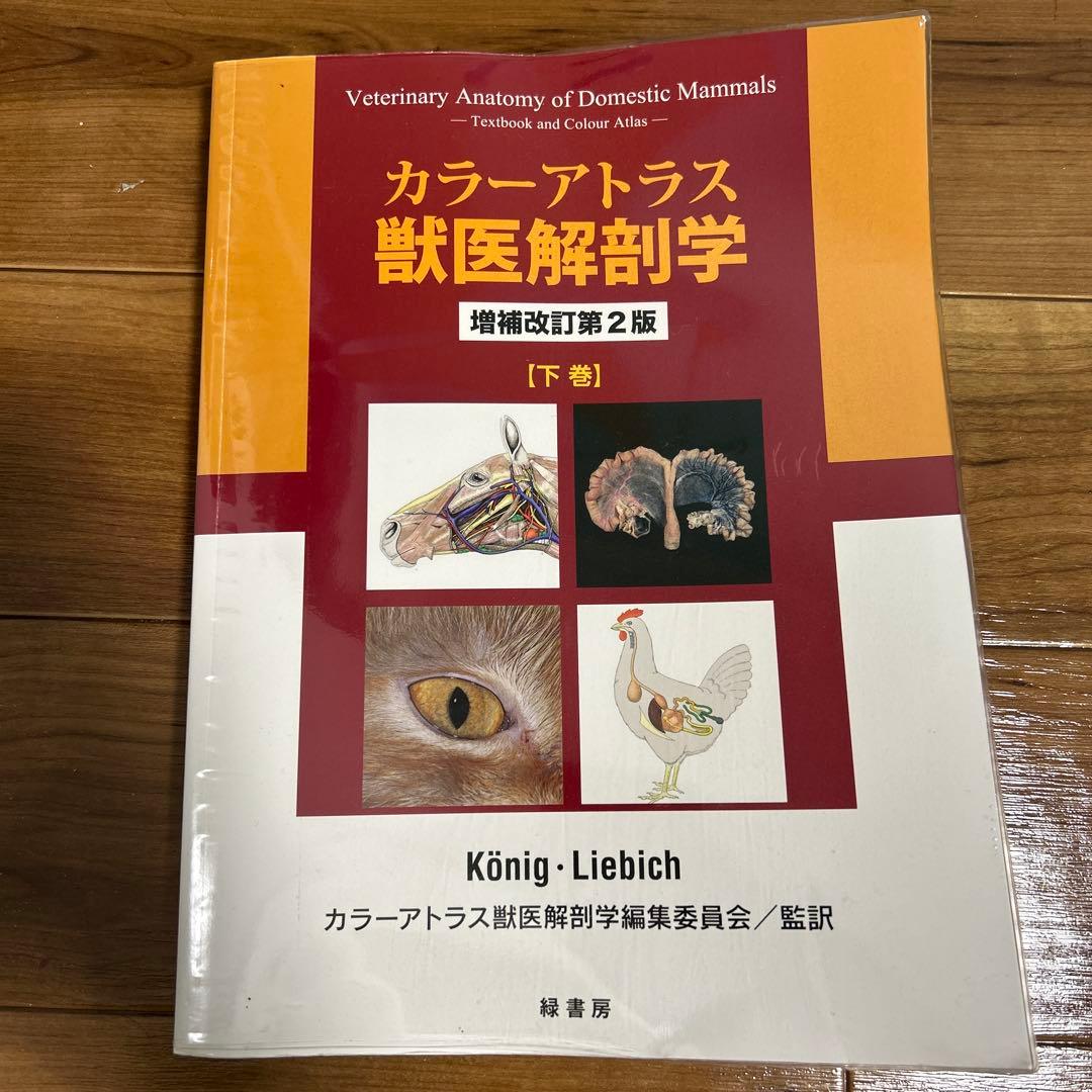 カラーアトラス獣医解剖学 下巻